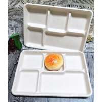 Disposable Biodegradable Bagasse 5 Compartments Lunch Tray